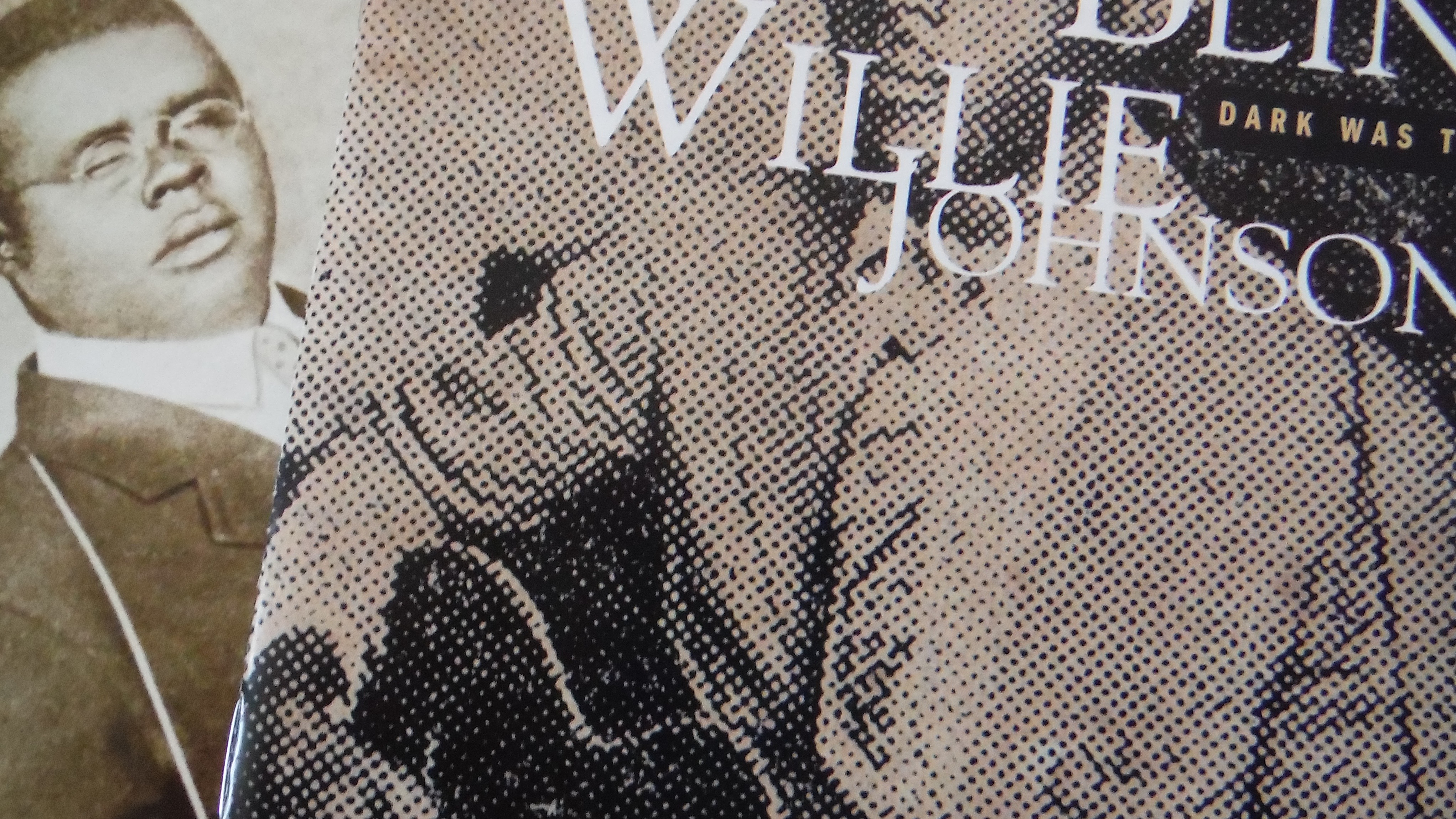 Revelation Blind Willie Johnson The Biography. by D.N. Blakey